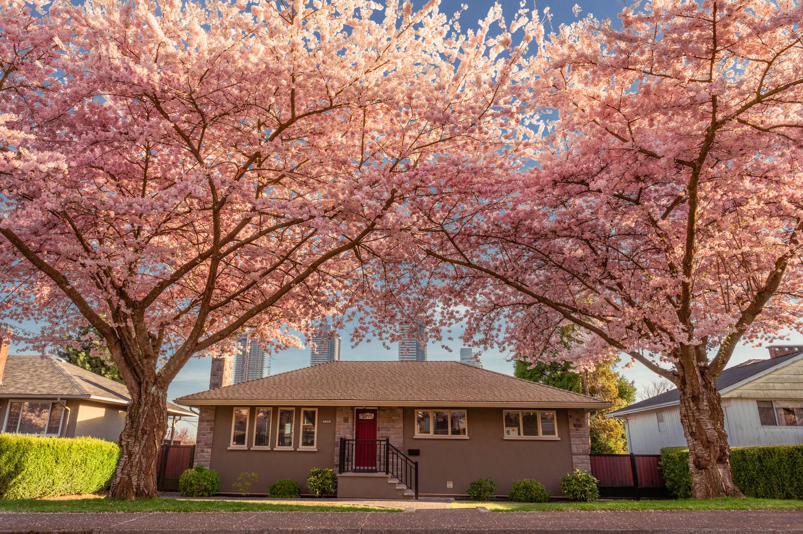 Home with blooming spring trees during the best time to sell a house in Cary NC