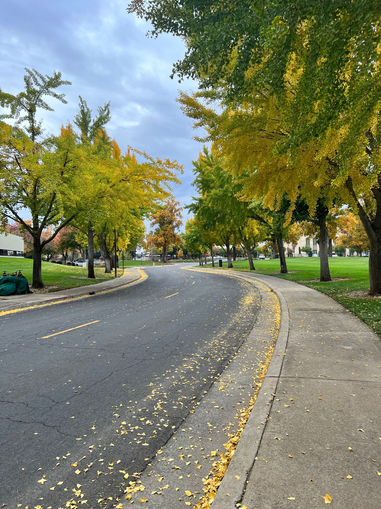 Quiet tree-lined street; options to sell a house and rent in retirement